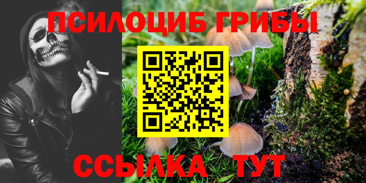 Менделеевск  Псилоцибиновые грибы Cubensis  Псилоцибиновые грибы Magic Shrooms  Вход с VPN 